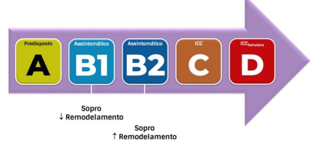 Classificação da Doença Degenerativa Valvar Mitral (DDVM)