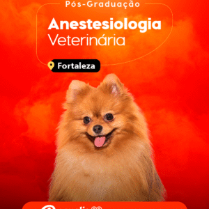 Curso de Pós-Graduação em Anestesiologia de Pequenos Animais Semipresencial – Fortaleza 2026