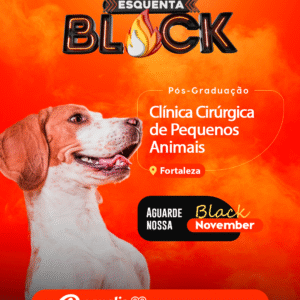 Curso de Pós-Graduação em Clínica Cirúrgica de Pequenos Animais Semipresencial – Fortaleza 2026