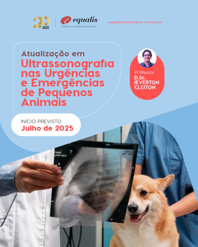 Curso de Atualização em Ultrassonografia nas Urgências e Emergências de Pequenos Animais - Recife