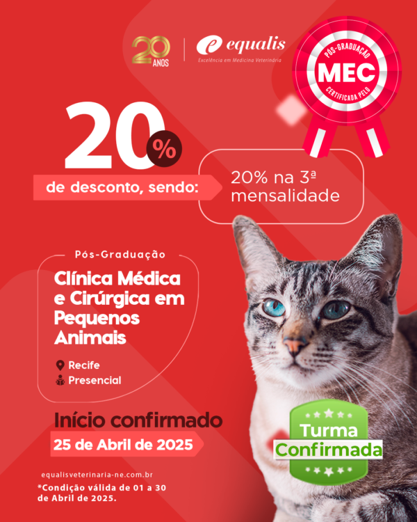 Curso de Pós-Graduação em Clínica Médica e Cirúrgica em Pequenos Animais Presencial Recife 2025