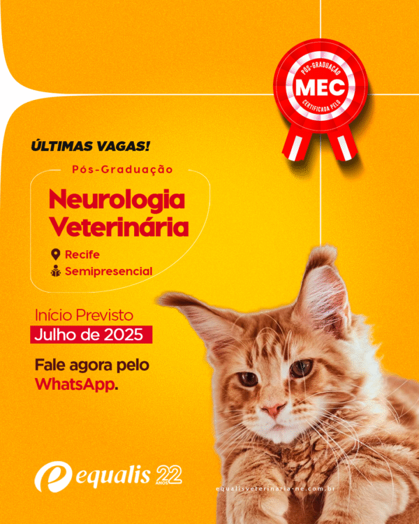 Curso de Pós-Graduação em Neurologia Semipresencial Recife 2025