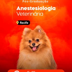 Curso de Pós-Graduação em Anestesiologia de Pequenos Animais Semipresencial Recife 2026
