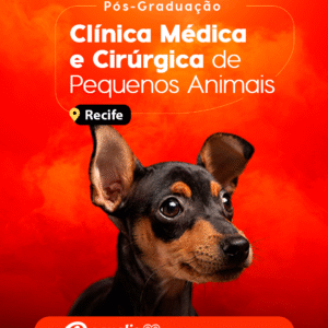 Curso de Pós-Graduação em Clínica Médica e Cirúrgica em Pequenos Animais Presencial Recife 2026