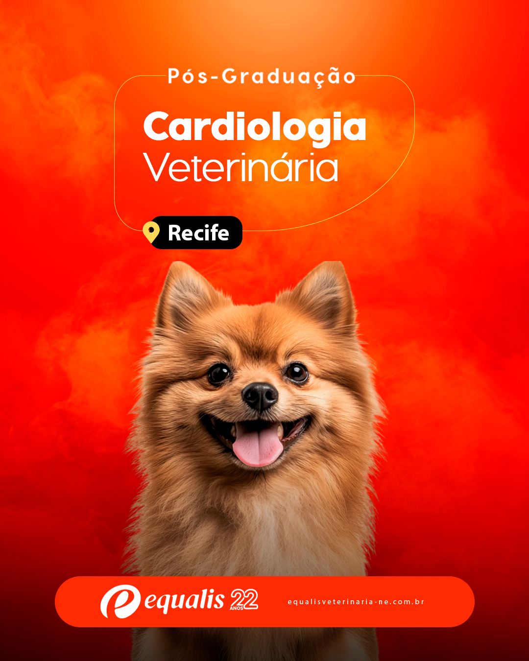 Curso de Pós-Graduação em Cardiologia Veterinária de Cães e Gatos Semipresencial Recife 2026