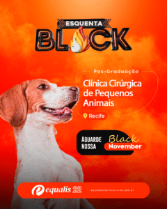 Curso de Pós-Graduação de Clínica Cirúrgica de Pequenos Animais Semipresencial Recife 2026