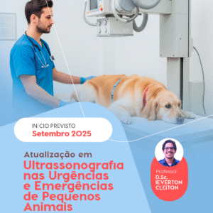 Curso de Atualização em Ultrassonografia nas Urgências e Emergências de Pequenos Animais - Recife