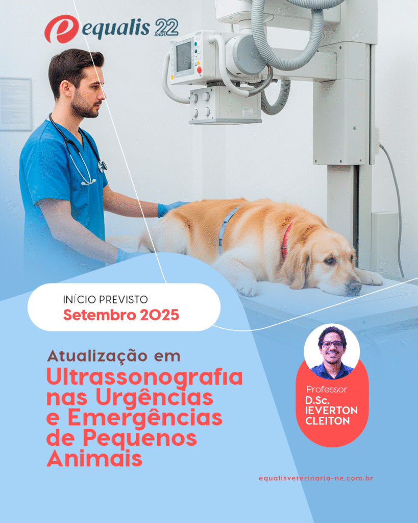 Curso de Atualização em Ultrassonografia nas Urgências e Emergências de Pequenos Animais - Recife