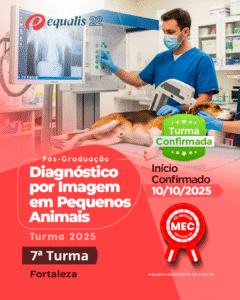 Pós-Graduação de Diagnóstico por Imagem em Pequenos Animais Semipresencial Fortaleza
